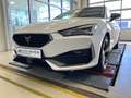 CUPRA Leon SP 2.0 TDI DSG Navi LED Rückfahrkamera Blanco - thumbnail 2