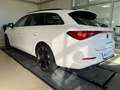 CUPRA Leon SP 2.0 TDI DSG Navi LED Rückfahrkamera Blanco - thumbnail 3