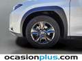 Lexus UX 250h Business City 2WD Blanc - thumbnail 41