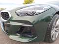 BMW Z4 sDrive20i Cabrio Sport Aut. Driving Assistant Verde - thumbnail 13