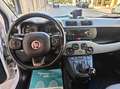 Fiat Panda Panda 1.3 Mjt  Lounge EURO 6 Beige - thumbnail 12
