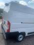 Fiat Ducato 35 2.3 MultiJet L3H2 euro 6 Wit - thumbnail 6