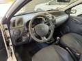 Fiat Punto 5p 1.2 natural power Classic UNICO PROPRIETARIO Bianco - thumbnail 4