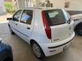 Fiat Punto 5p 1.2 natural power Classic UNICO PROPRIETARIO Bianco - thumbnail 14