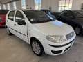 Fiat Punto 5p 1.2 natural power Classic UNICO PROPRIETARIO Bianco - thumbnail 1