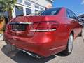 Mercedes-Benz E 500 Elegance Aut. Rot - thumbnail 9