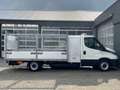 Iveco Daily 35S14N Automaat met Laadklep Luchtvering Airco Cru Blanc - thumbnail 23