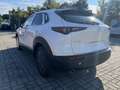 Mazda CX-30 e-Skyactive G140 Homura Aut. Weiß - thumbnail 4