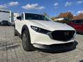 Mazda CX-30 e-Skyactive G140 Homura Aut. Weiß - thumbnail 2