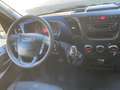 Iveco Daily Kasten HKa 35 S ... V Radstand 3520 Blue - thumbnail 11
