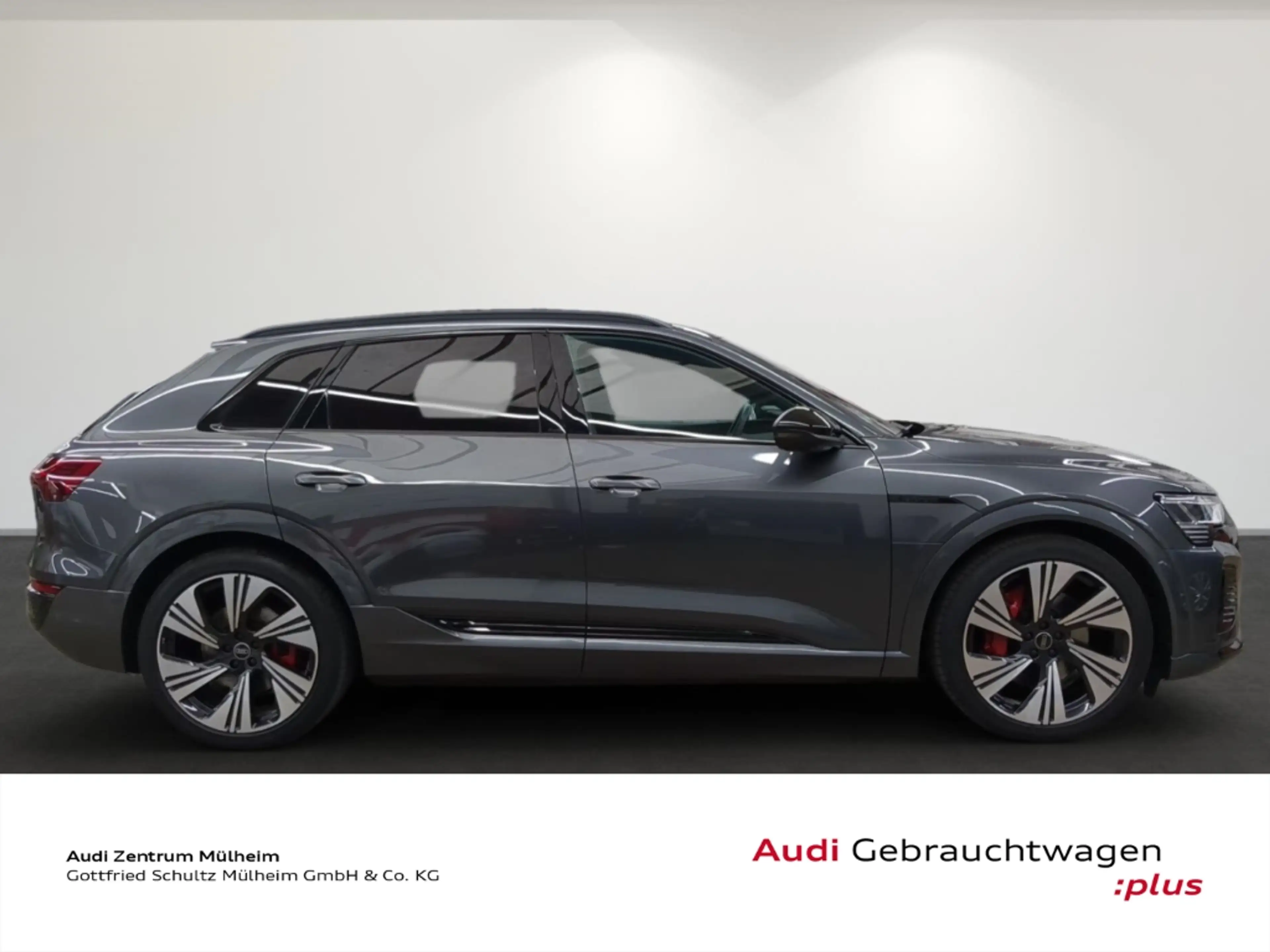 Audi Q8 e-tron 50 quattro S line Navi Pano Matrix LED virtual — photo 3