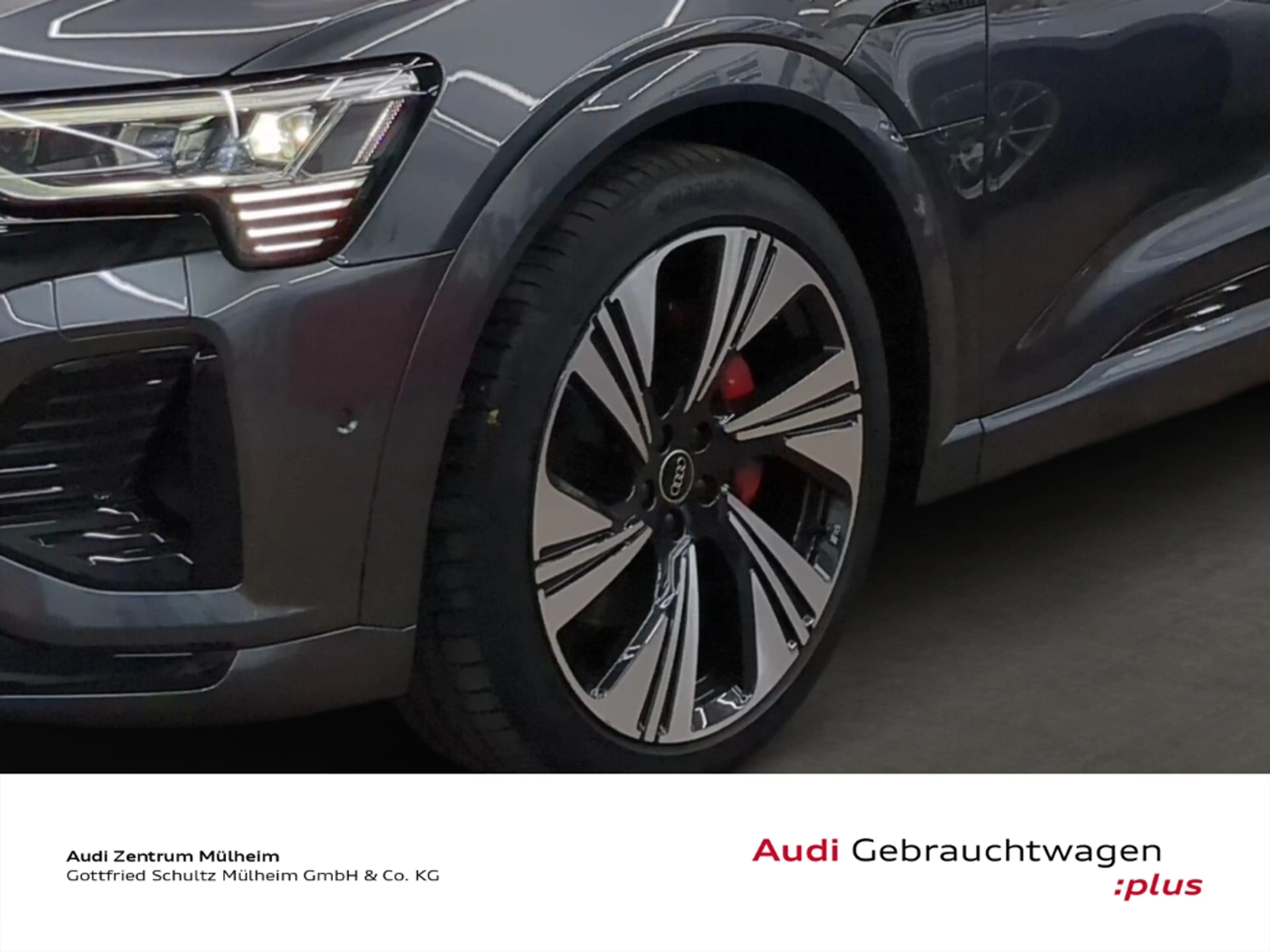 Audi Q8 e-tron 50 quattro S line Navi Pano Matrix LED virtual — photo 10