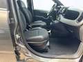 Fiat Panda Sport MY21 Sport Hybri Gris - thumbnail 9