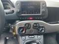 Fiat Panda Sport MY21 Sport Hybri Gris - thumbnail 14
