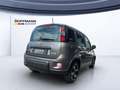 Fiat Panda Sport MY21 Sport Hybri Gris - thumbnail 4