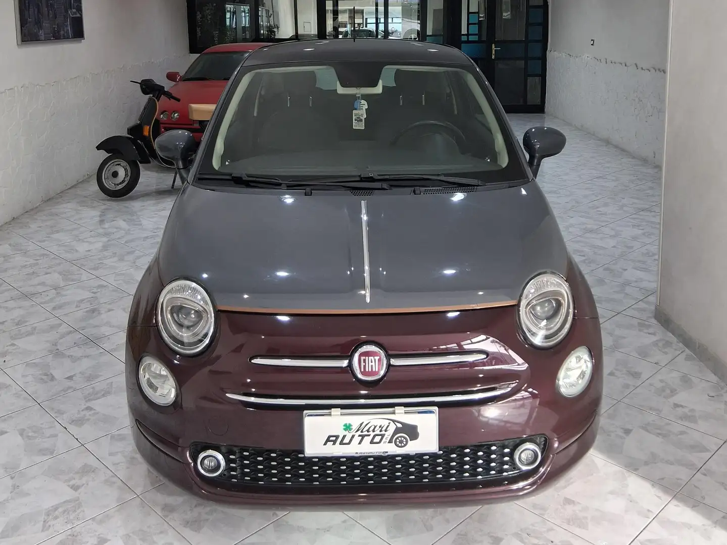 Fiat 500 500 1.2 Collezione 69cv c/sensori parcheggio Lilla - 2