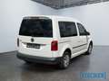 Volkswagen Caddy 2.0TDI Trendline Klima GRA PDC hinten Weiß - thumbnail 4