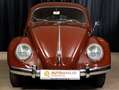 Volkswagen Käfer Export aus Chile Braun - thumbnail 2