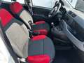 Fiat Panda Panda III 1.3 mjt 16v Lounge*CLIMA*NEOPATENTATI Weiß - thumbnail 10
