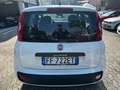 Fiat Panda Panda III 1.3 mjt 16v Lounge*CLIMA*NEOPATENTATI Weiß - thumbnail 5