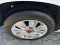 Fiat Panda Panda III 1.3 mjt 16v Lounge*CLIMA*NEOPATENTATI Weiß - thumbnail 14
