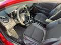 Renault Clio Grandtour TCe120 EDC Intens AUTOMATIK NAVI Roşu - thumbnail 14