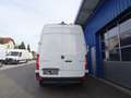 Mercedes-Benz Sprinter 317 CDI Kasten L2H2 RWD / AHK 3500 KG Weiß - thumbnail 10