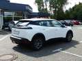 Peugeot 2008 Active Pack 100 Weiß - thumbnail 5
