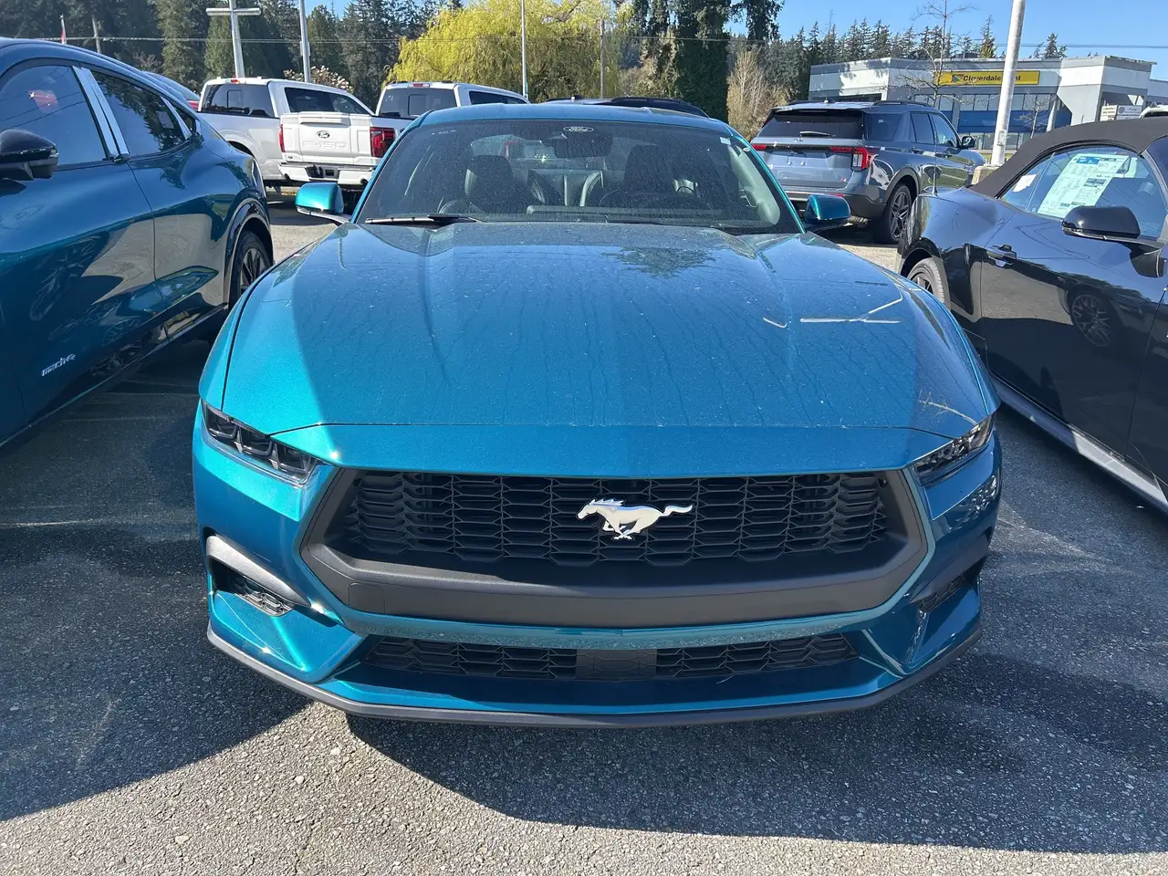 Ford Mustang снимка Ford Mustang