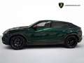 Lamborghini Urus 4.0 V8 auto - IVA ESPOSTA - SCARICO AKRAPOVIC Vert - thumbnail 4