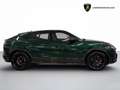 Lamborghini Urus 4.0 V8 auto - IVA ESPOSTA - SCARICO AKRAPOVIC Vert - thumbnail 8