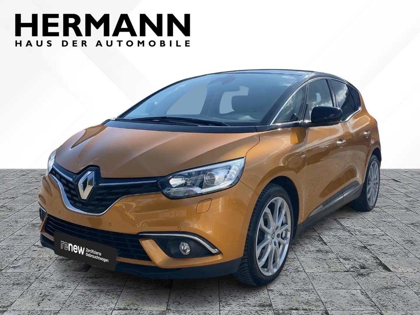 Renault Scenic IV 1.6 dCi 160 Energy - BOSE Edition *LED Schwarz - 1