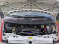 Ford Transit Campingausbau Rot - thumbnail 20