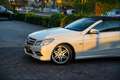 Mercedes-Benz E 250 Cabrio CGI Elegance Leder Lendesteunen Mistlampen Wit - thumbnail 29