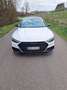 Audi A7 Sportback 50 3.0 tdi mhev quattro tiptronic - thumbnail 16