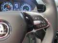 Skoda Kamiq Tour 1.0 TSI 81 kW DSG Grau - thumbnail 16