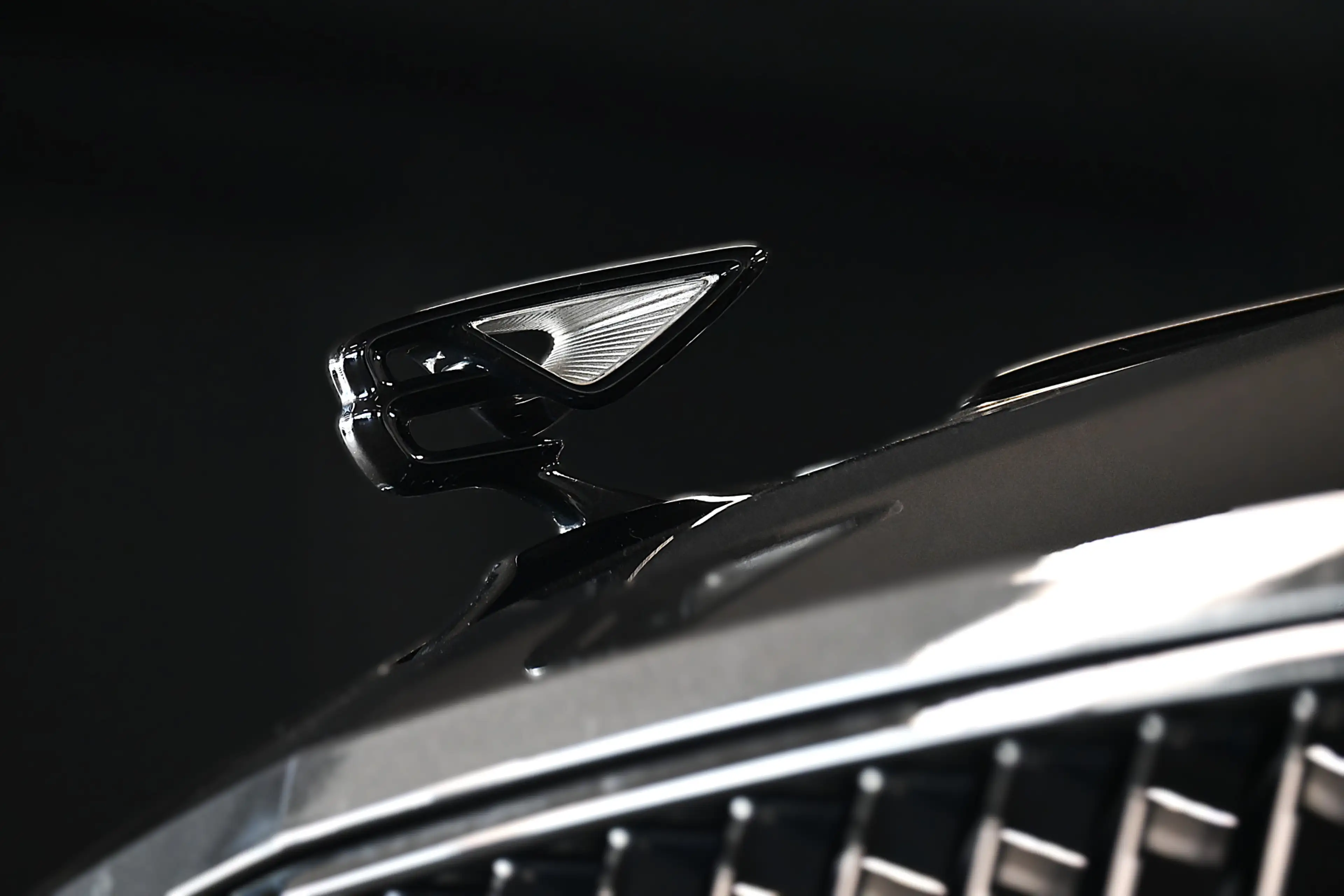 Bentley Flying Spur 6.0 W12 — photo 5