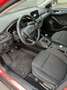 Ford Focus Active Rot - thumbnail 10
