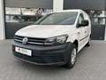 Volkswagen Caddy Maxi Kasten Klima PDC Alb - thumbnail 2