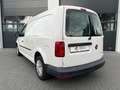 Volkswagen Caddy Maxi Kasten Klima PDC Alb - thumbnail 8
