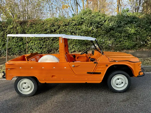 Citroen Méhari Mehari Mehari 602 - AUTO UNICA ITALIA LEGGERE LA DESCRIZIONE BENE