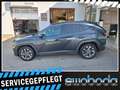 Hyundai TUCSON Tucson 1,6 T-GDI 2WD 48V Trend Line DCT Grau - thumbnail 3