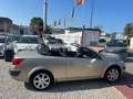 Renault Megane C.C. 1.9DCI Luxe Privilege 130 Beige - thumbnail 20