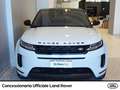 Land Rover Range Rover Evoque 2.0d i4 mhev se awd 150cv auto Bianco - thumbnail 4