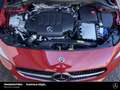 Mercedes-Benz B 200 B 200 d Progressive AHK MLed Distro Memo Kamera Rot - thumbnail 17