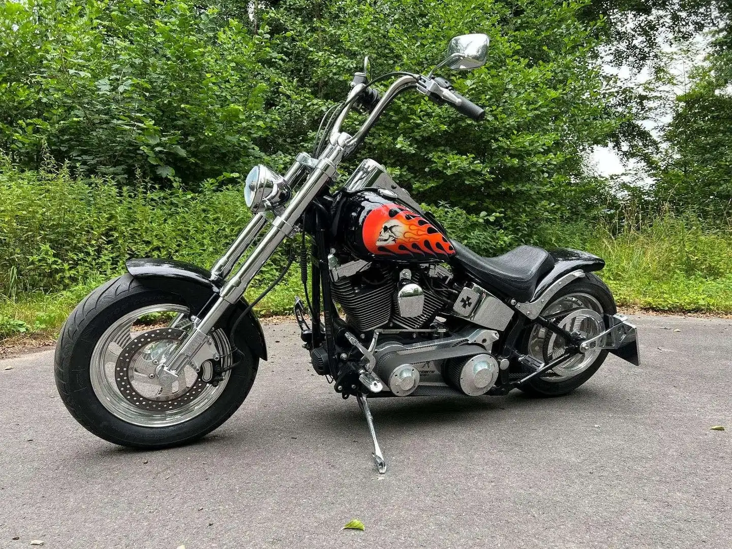 Harley-Davidson Others FLSTF Zwart - 2