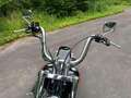 Harley-Davidson Others FLSTF Schwarz - thumbnail 21