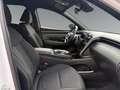 Hyundai TUCSON NX4 Trend Line PLUS 1,6 CRDi 4WD 48V DCT t1dr0 Weiß - thumbnail 12