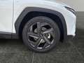 Hyundai TUCSON NX4 Trend Line PLUS 1,6 CRDi 4WD 48V DCT t1dr0 Weiß - thumbnail 15