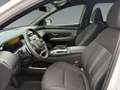 Hyundai TUCSON NX4 Trend Line PLUS 1,6 CRDi 4WD 48V DCT t1dr0 Weiß - thumbnail 9